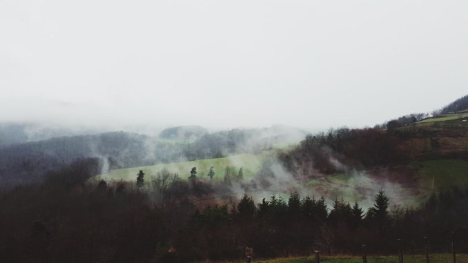 Överleva i naturen illustration